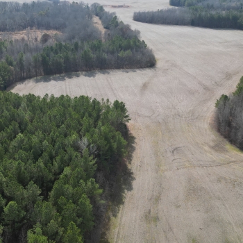 524 Acres - Lawrence County, AL - Expansive Farmland with Mature Timber Stands