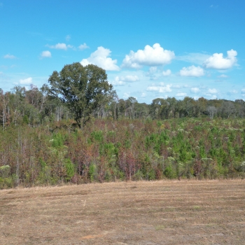55 Acres - Hale County - Pastureland with Homesite and Barn