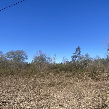5 acres - Clay County - Blakes Ferry North Tract