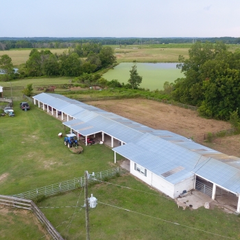 21 +/- Acres - Tattnall County, GA - Lynntown Horse Farm Tract 2