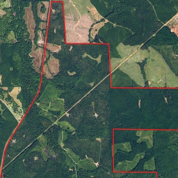 2123 acres - Bullock County - Moseley Tract