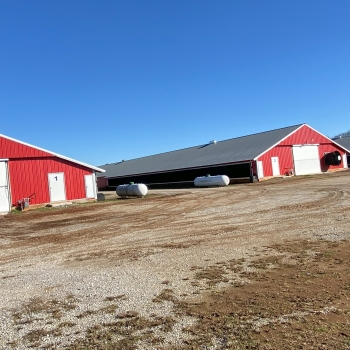 79.40 +/- Acres - Lawrence County, AL - Enon Rd Broiler Farm