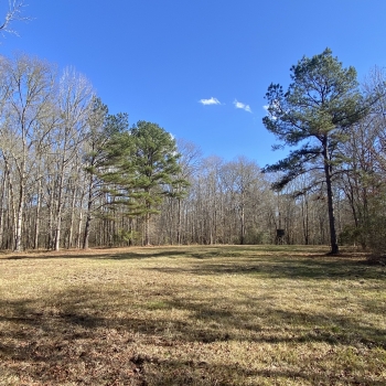 71 acres - Macon County - Fisher Tract