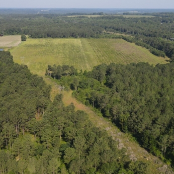 95 +/- acres - Dale County - Clayhatchee Tract