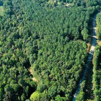 14+/- acres - Chester Co - LH-01