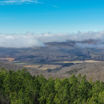 64+ Acres - Franklin County, TN - The Ridges at Franklin Forest Tract