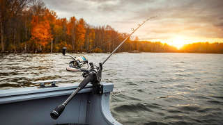 Fishing