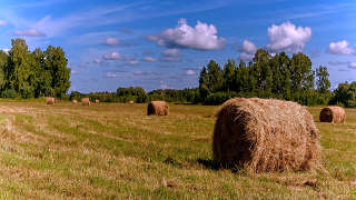 Moore County Farmland