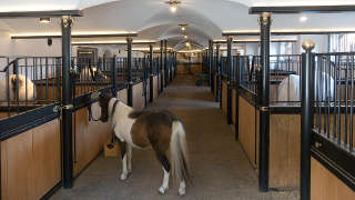 Barns & Stables