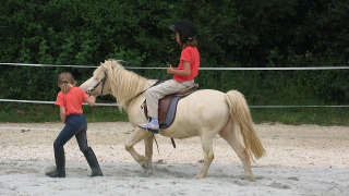 Barns & Stables