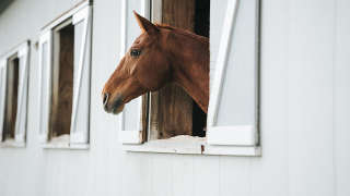 Barns & Stables