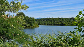 Homestead land near lake