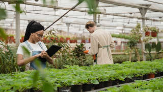 Warren County nursery investment