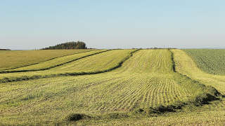 Pasture in Polk County TN