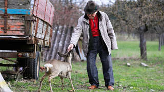 Hands-on farm workshop