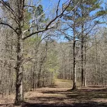 20 acres - Lee County - Lake Harding Properties LLLP 20