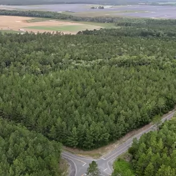 Davis Road Tract - 49.1 Ac - Walton Co, FL