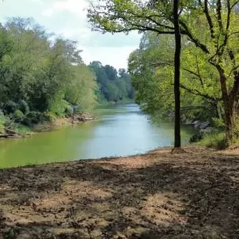 130 +/- Ac - Jefferson County, AL - Locust Fork East