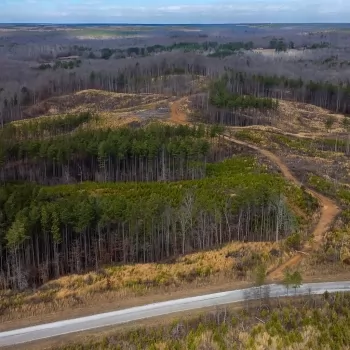 67+/- acres - Chester Co - PT-02