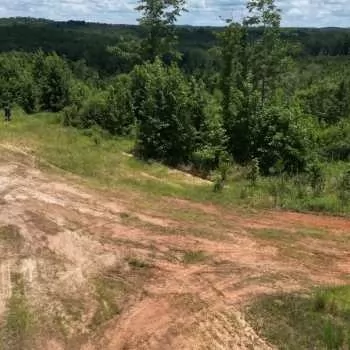 45 Acres in Dallas County - Blackbelt Hunting & Timber Tract