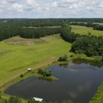 113+/- acres - Barbour County, AL - West Fork Tract