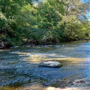 900 +/- Ac - Jefferson County, AL - Fivemile Creek Tract