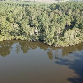 220 Ac - Coffee Co - Palmer Branch Tract