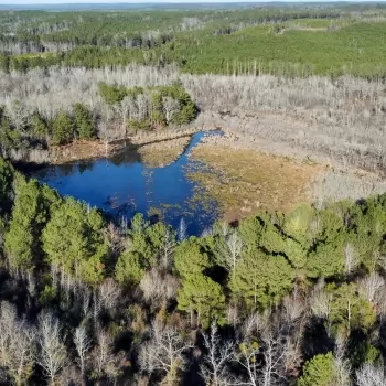 192 Acres - Greene County - Jena Tract