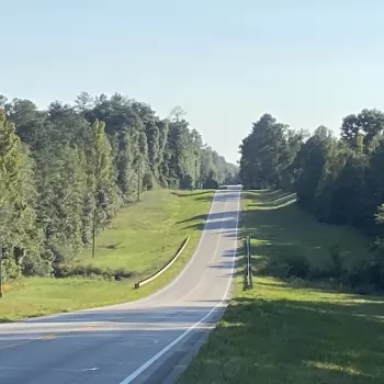 36 Acres - Conecuh County - Highway 31 Tract