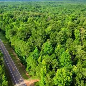 54 +/- Acres - Perry County, AL - Heiberger Hwy 5 Tract