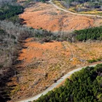 18+/- acres - Chester Co - PT-05