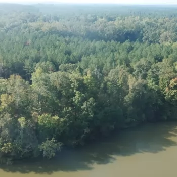 25 Ac - Dallas County - White Oak Creek Tract