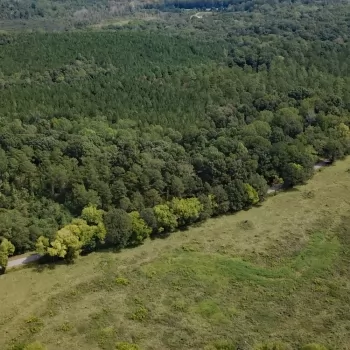 79 +/- Ac - Hale County - Havana Junction Farm Parcel #3