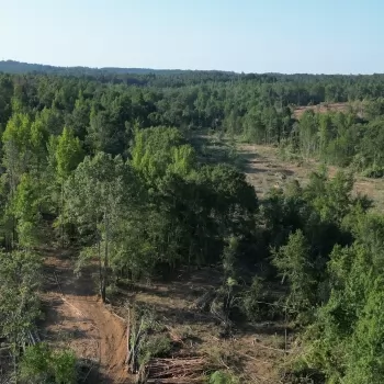 43.5 +/- Acres - Hale County - Gameday Retreat