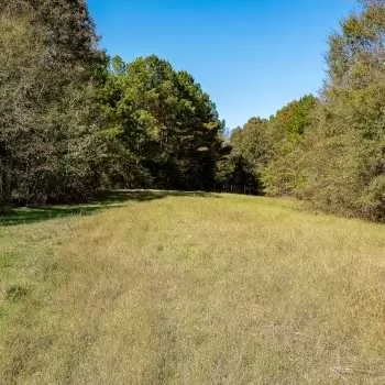 119.5 acres - Weakley County - Parham Rd