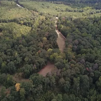 543+/- Ac - Clarke County - Winn Road Farm