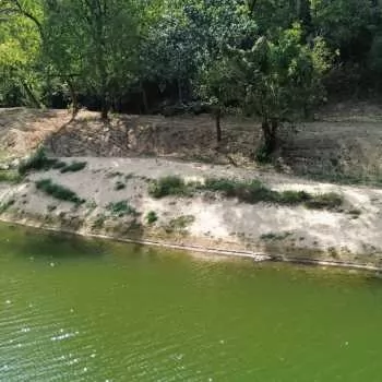 225 +/- Ac - Jefferson County, AL - Locust Fork West