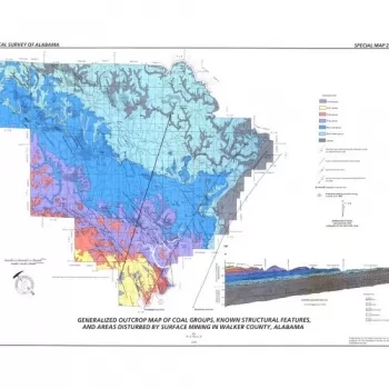 (MINERAL RIGHTS ONLY) 1,070 +/- Acres - Walker County - Mineral Rights Package