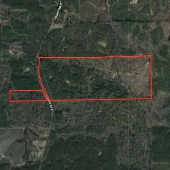 165 +/- Acres - Sumter County - Hunting Club