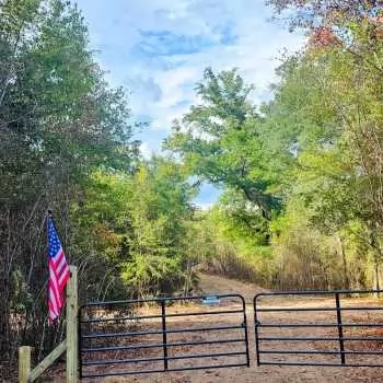 12.8 +/- Ac - Houston County, AL - Pale Moonlight Mini Farm