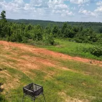 176 Acres in Dallas County - Black Belt Hunting & Timber Tract