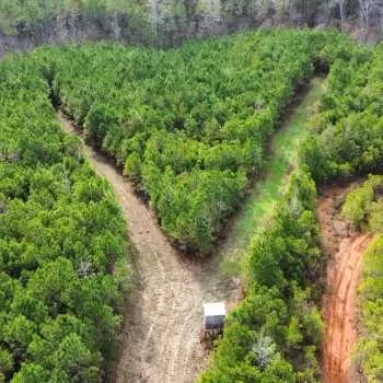 24 +/- ac - Pickens County, AL - Hwy 82 South