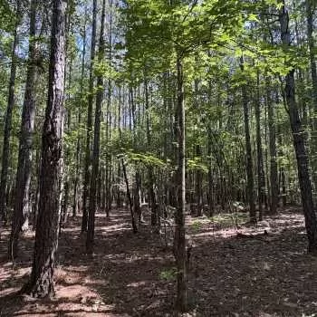 105 acres - Lee County - LHP LLLP 105