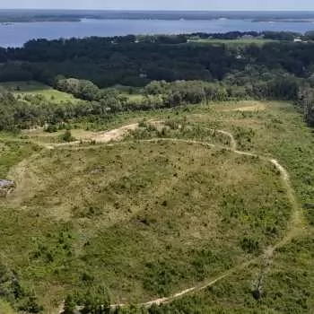 33+/- acres - Henry County, AL - Gin Branch Tract