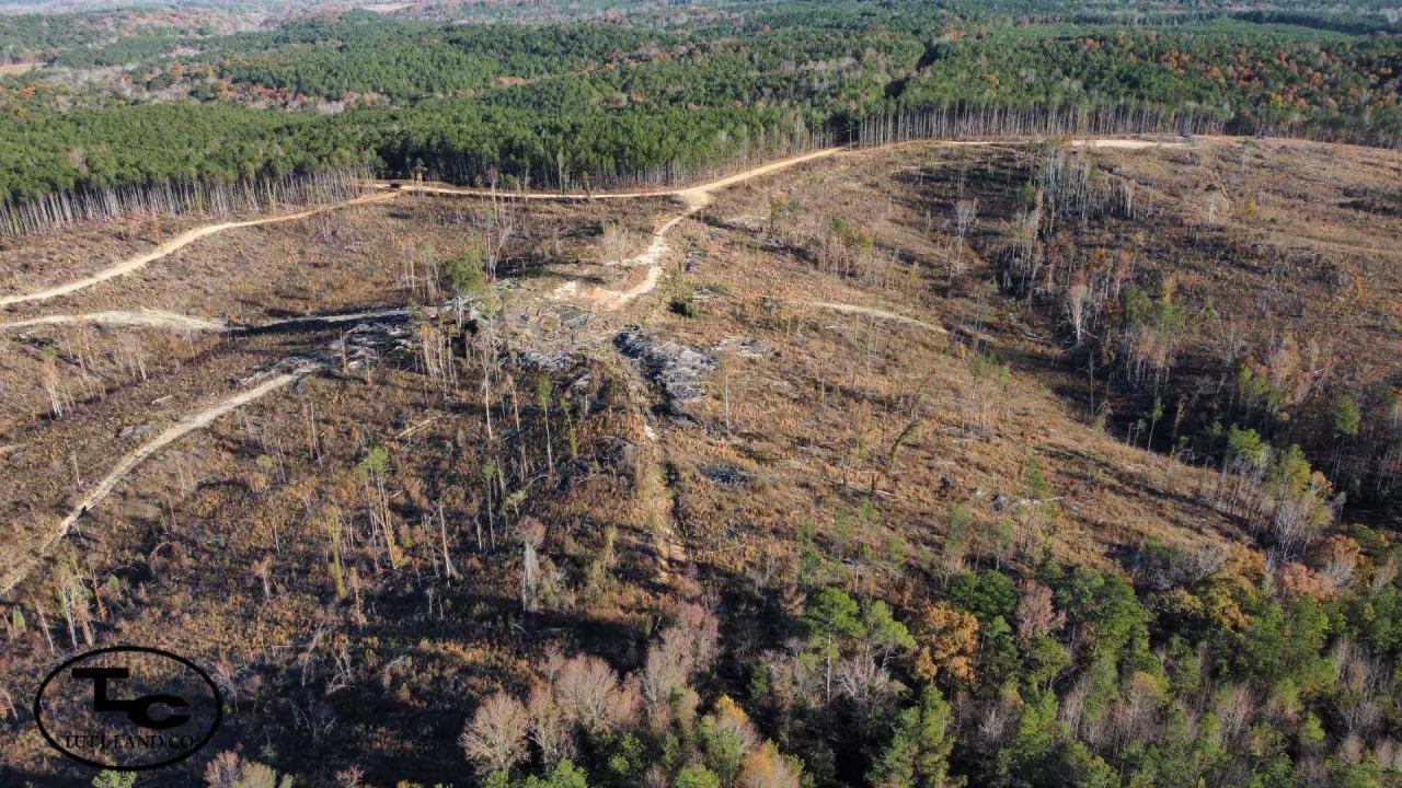 Adams Road Tract WM15.jpg