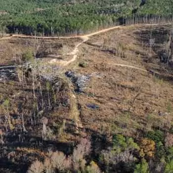 80 +/- Acres - Fayette County - Adams Road Tract