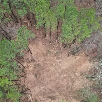 13+-Acres - Coosa County, AL - Timber Investment / Homesite Tract