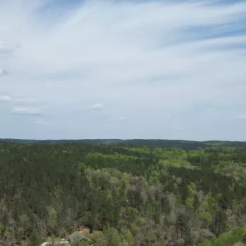 216 Acres - Chilton County, AL - Walnut Creek Tract