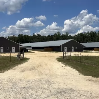 55 ac- Geneva County, AL- Filmore Breeder Farm