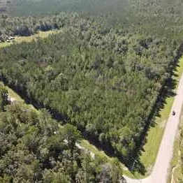 13+/- Acres - Choctaw County, AL - Mt Sterling Road